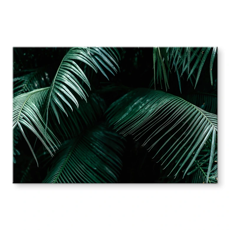 Tableau sur verre acrylique Botanique tropicale 