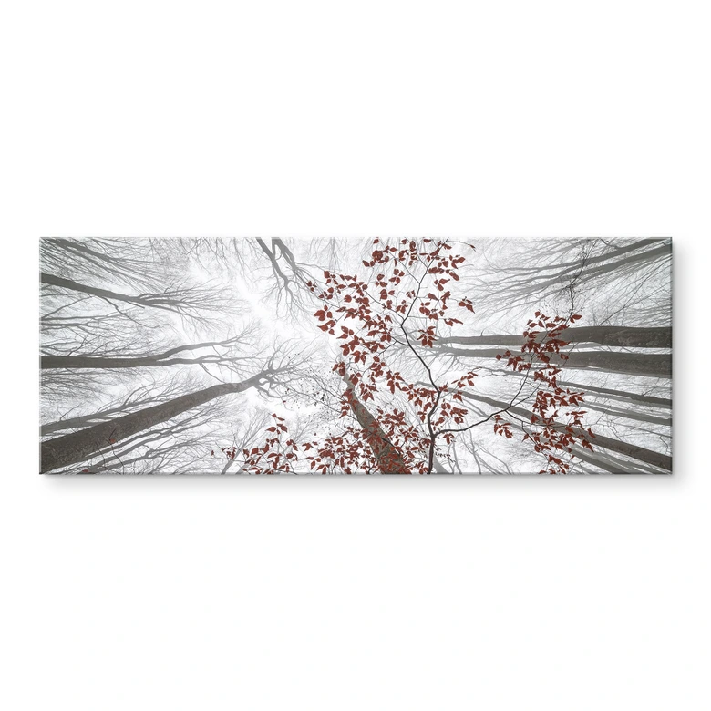 Tableau sur verre acrylique Cimes d'arbres aux feuilles rouges - Coman 