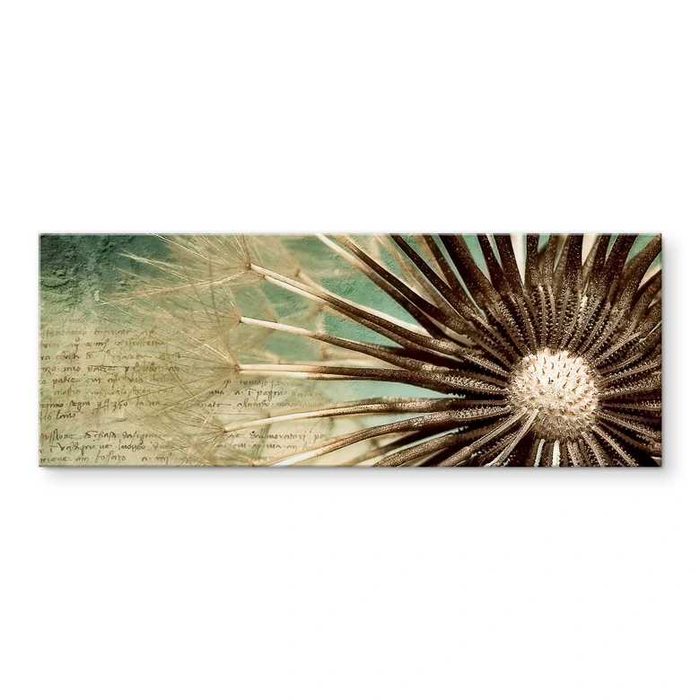 Acrylglasbild Pusteblumen-Poesie - Panorama 