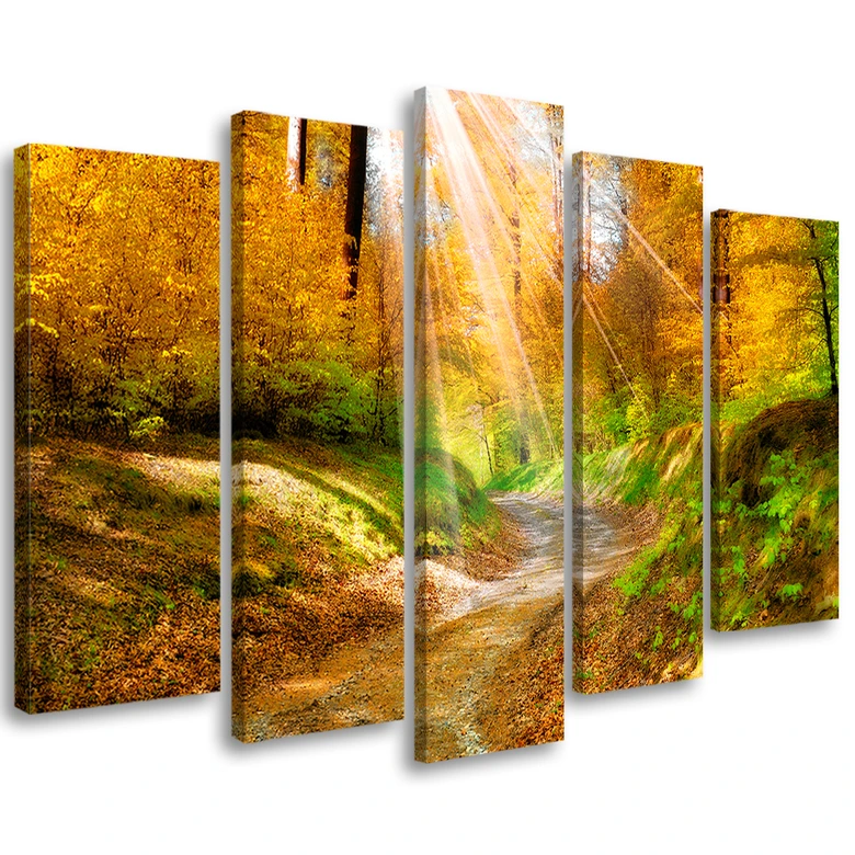 Leinwandbild 5 teilig, Wald Herbst Natur 