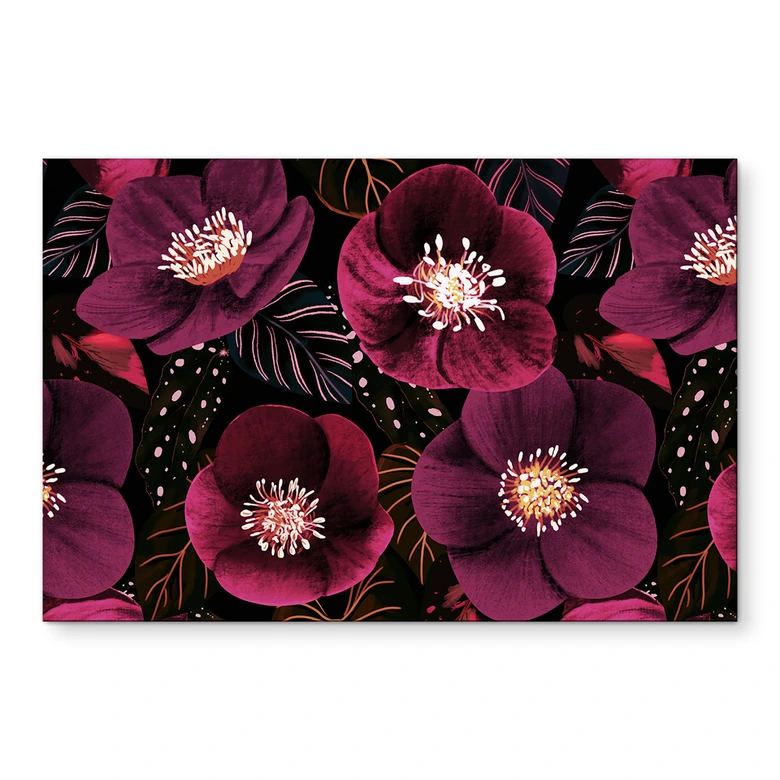 Wandbild Florale Blütenpracht in Purpurtönen - Anis Illustration - Alu-Dibond 