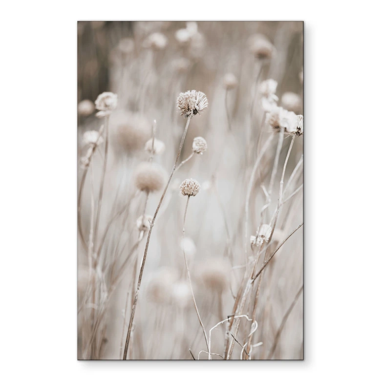 Wandbild Getrocknete Blüten in sanften Tönen - Annie - Alu-Dibond 
