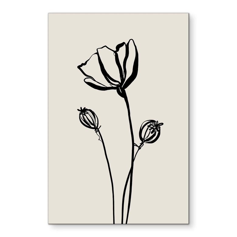 Wandbild Line Art Mohnblume - Cats & Dotz - Alu-Dibond 