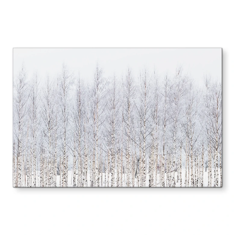Wandbild Birkenwald im Winter - EMELIEmaria - Alu-Dibond 