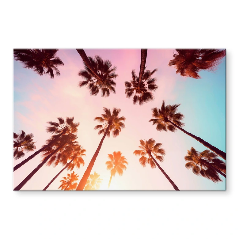 Wandbild California Dreaming mit Palmen-Blick - Hugonnard - Alu-Dibond 