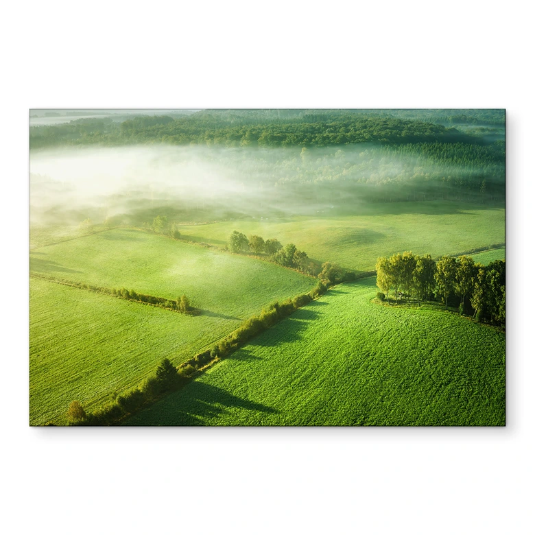 Wandbild Idyllische Felder im Nebel - Keller - Alu-Dibond 