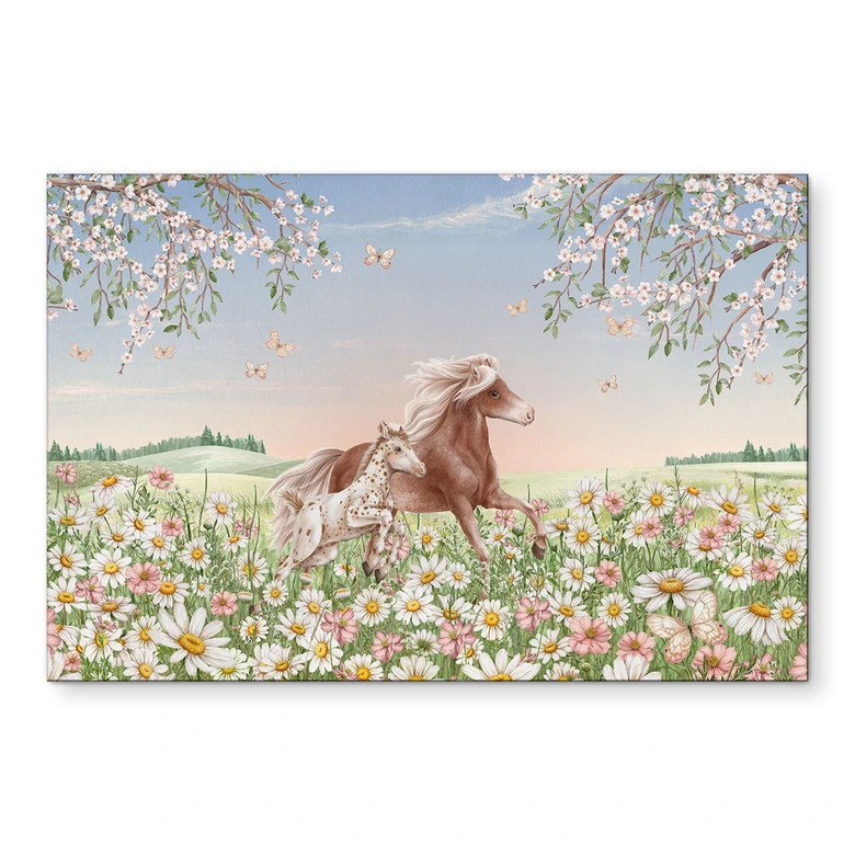 Wandbild Pferde auf der Blumenwiese - Kikki Belle - Alu-Dibond 