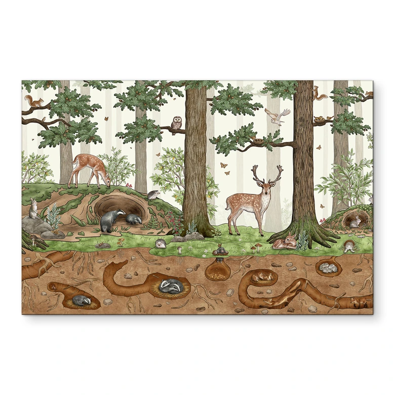Wandbild Wimmelbild Waldtiere - Kikki Belle - Alu-Dibond 