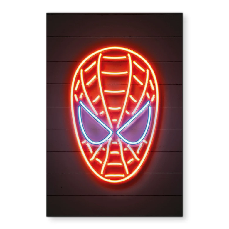Wandbild Spiderman - Mielu - Alu-Dibond 