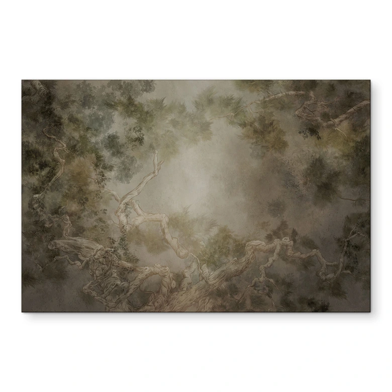 Wandbild Wald mit Blick in die Baumwipfel - Ms Tiff - Alu-Dibond 