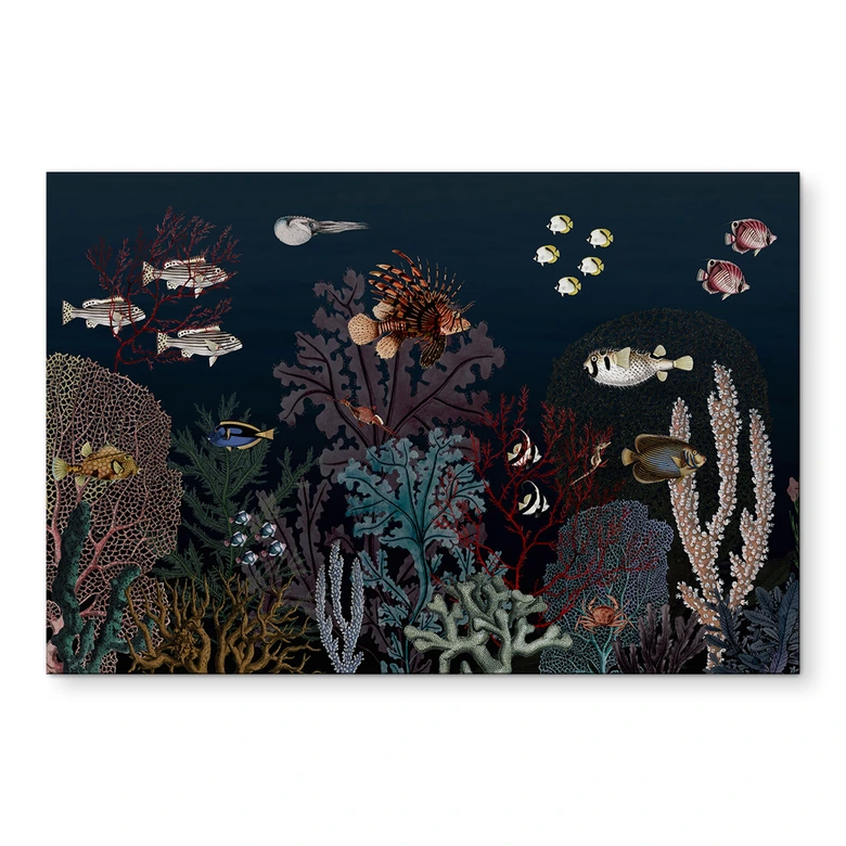 Wandbild Sir Edward - Tief im Ozean - Alu-Dibond 