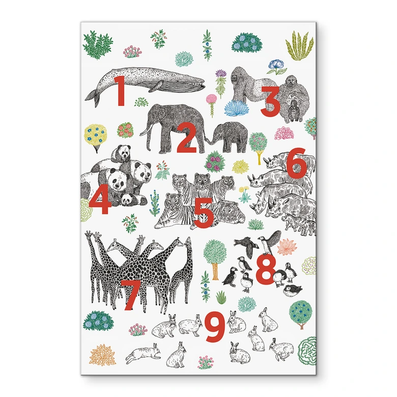 Wandbild Illustration von Zootieren mit Zahlen - Walentynowicz - Alu-Dibond 