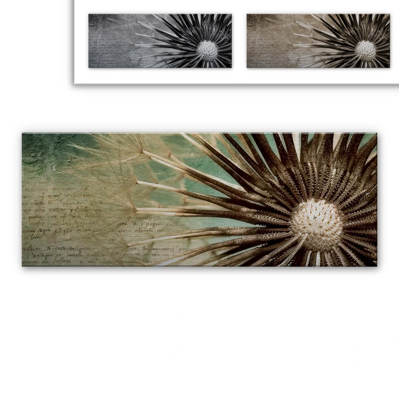 Alu-Dibond Bild Pusteblumen-Poesie - Panorama 