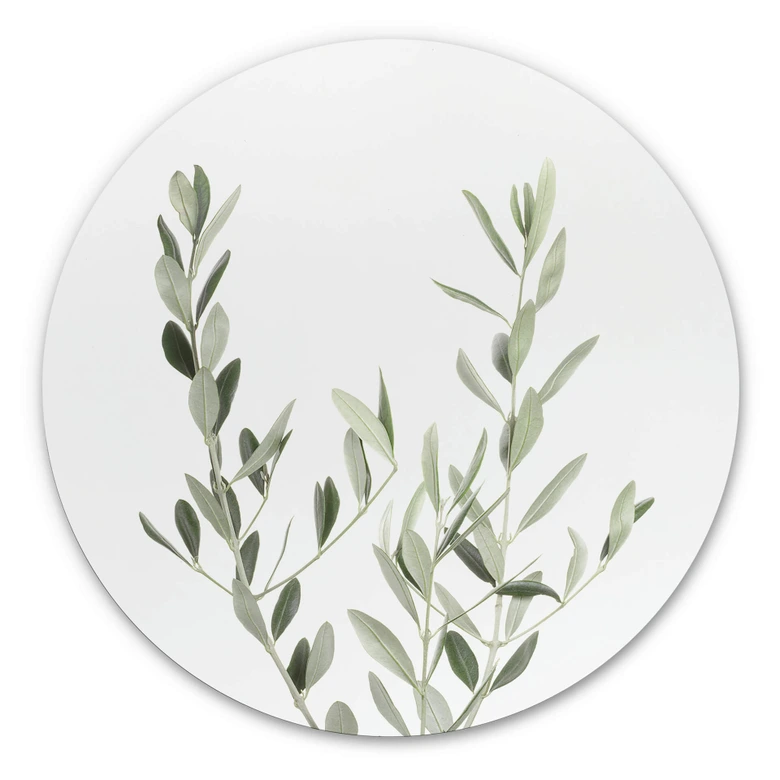 Alu-Dibond Wall Circle Sisi & Seb - Olive Branch 
