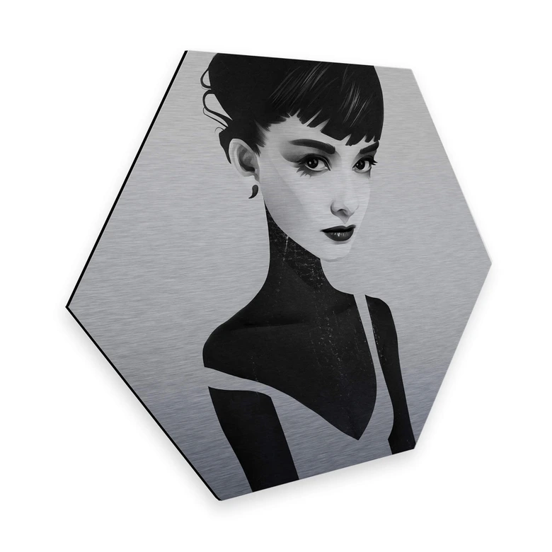 Hexagon - Alu-Dibond-Silbereffekt - Ireland - Oh Audrey 