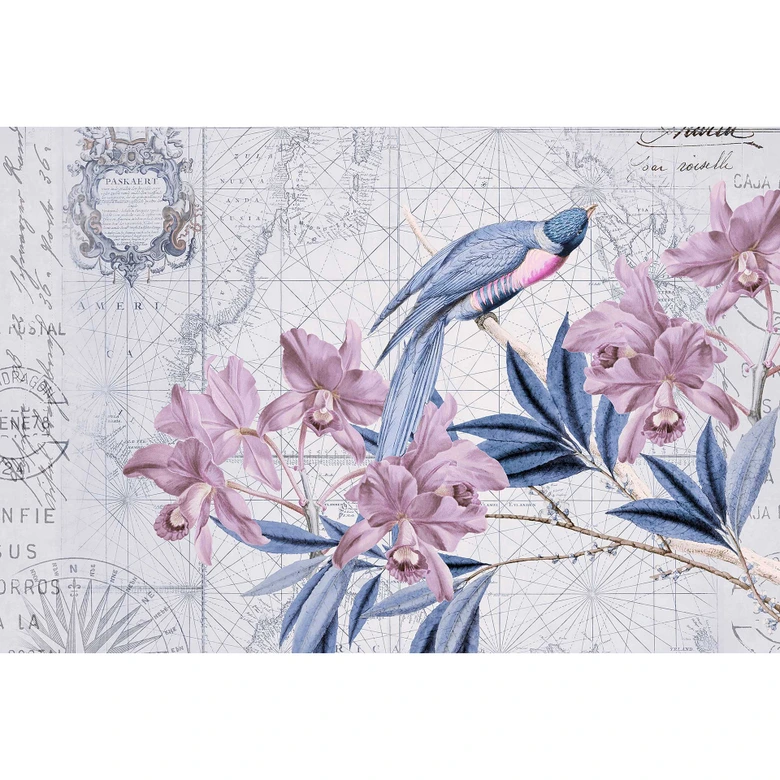 Livingwalls Fototapete ARTist Bird Discovery mit Blumen Vögeln und Weltkarte blau, rosa 