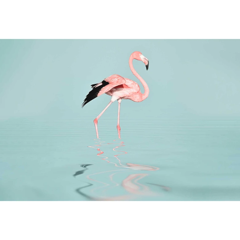 Livingwalls Fototapete ARTist Flamingo Water mit Flamingo rosa, türkis 