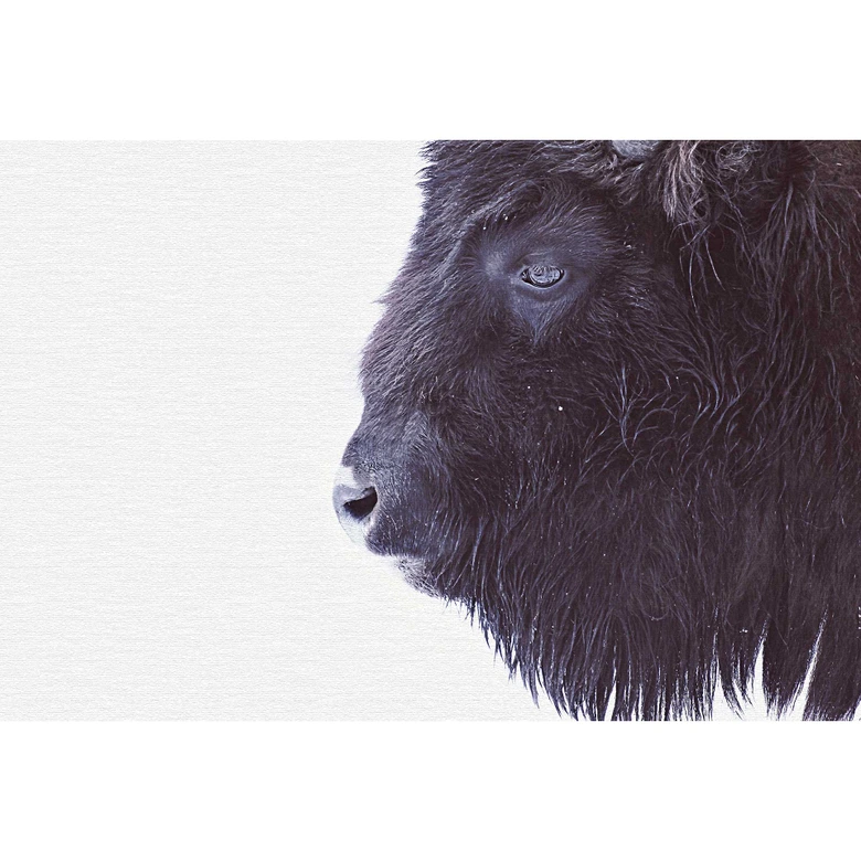 Livingwalls Fotobehang ARTist Black Buffalo  