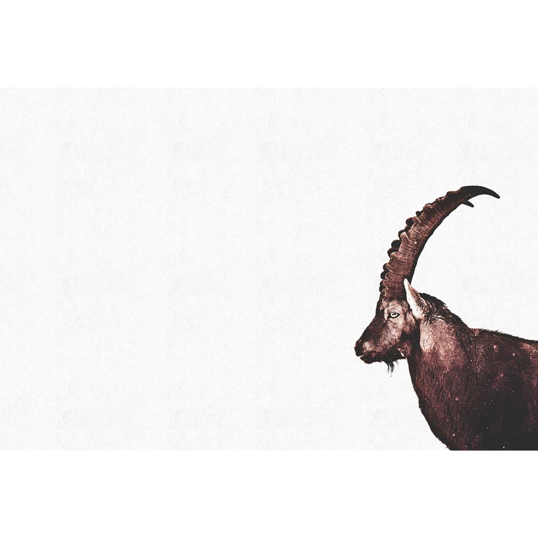 Livingwalls Fototapete ARTist Capricorn Snow mit Steinbock braun, weiß 