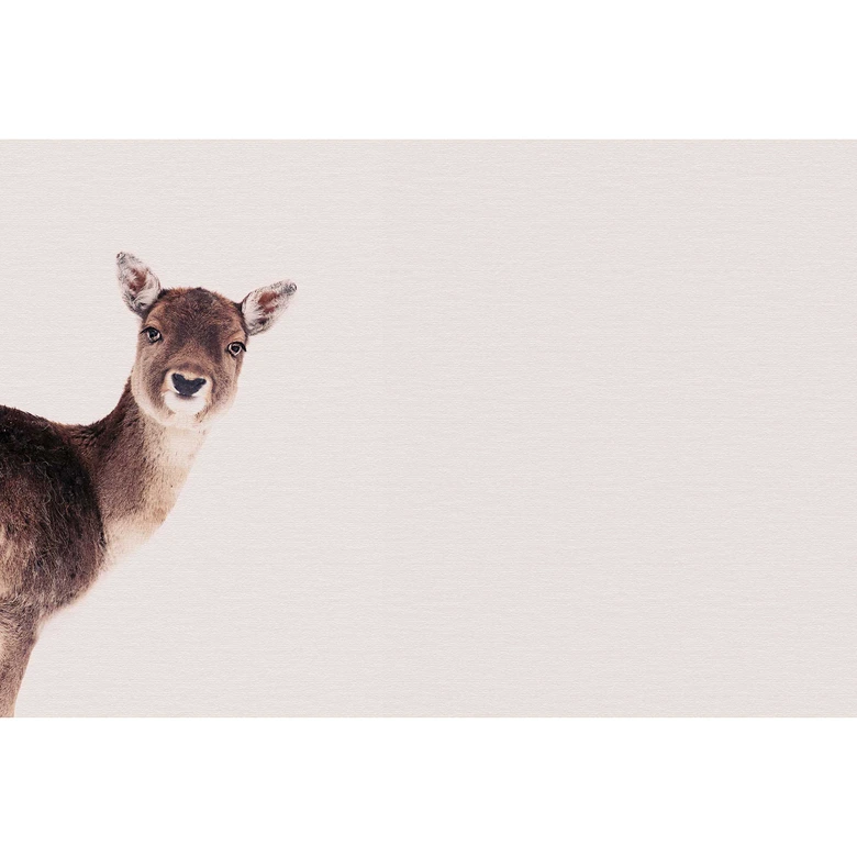 Livingwalls Fototapete ARTist Deer Rose mit Reh beige, braun 