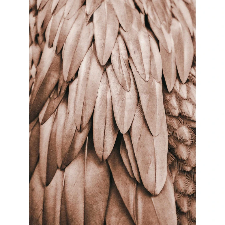 Livingwalls Fototapete ARTist Feathers mit Palmenblättern kupfer, orange 