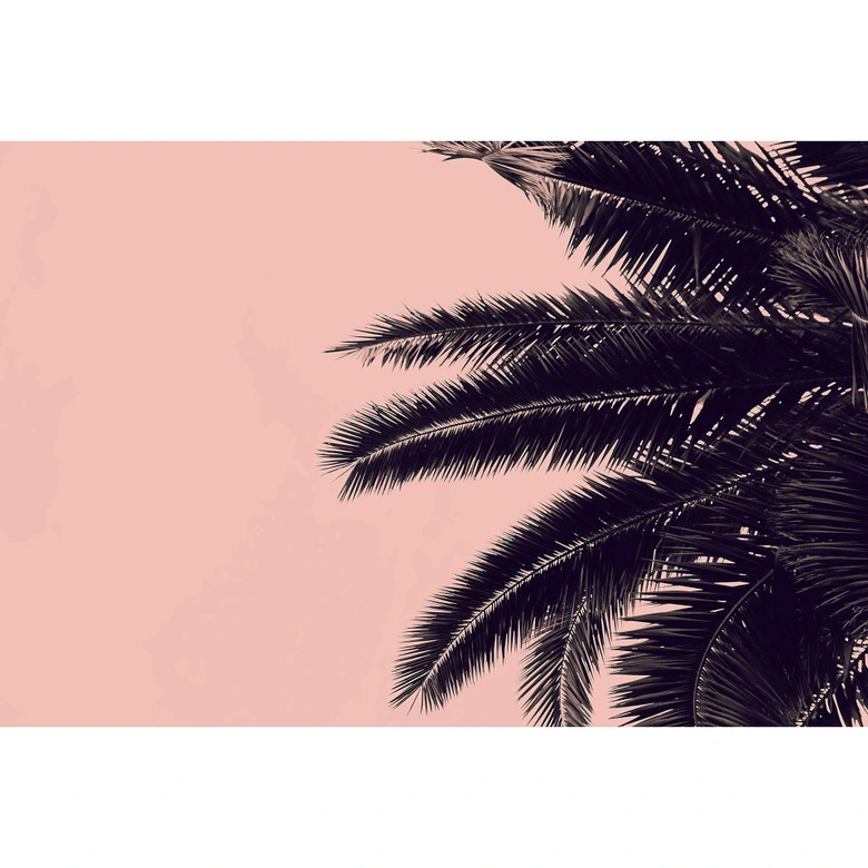 Livingwalls Fototapete ARTist Palm Tree mit Palme rosa, schwarz 