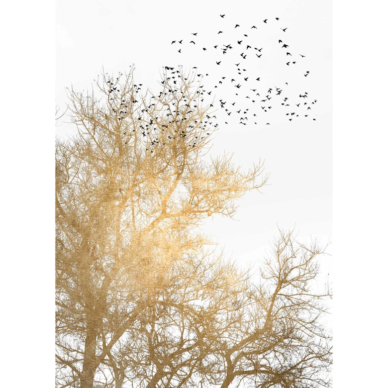 Livingwalls Fotobehang ARTist Kubistika - Golden Skies  