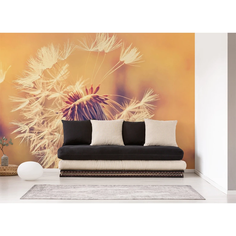 Wallpaper Designwalls in orange and white non-woven wallpaper Dandelion nature dandelion 