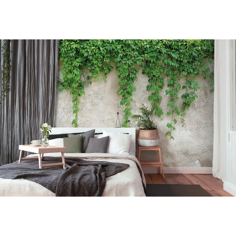 Livingwalls Fototapete Designwalls Climbing Leaves Natur 