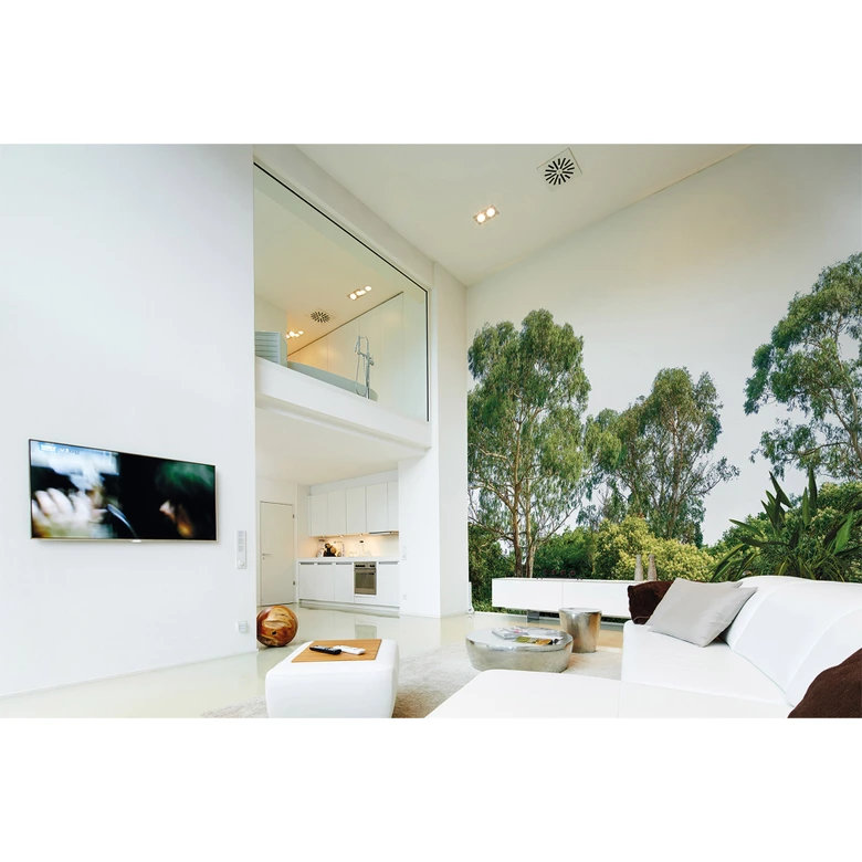 Livingwalls Fototapete Designwalls Treetop Wald 