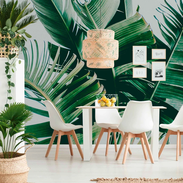 Fototapete Natur PalmFronds1 in grau grün - Vliestapete Designwalls 2 - 2,55 x 3,5 m 