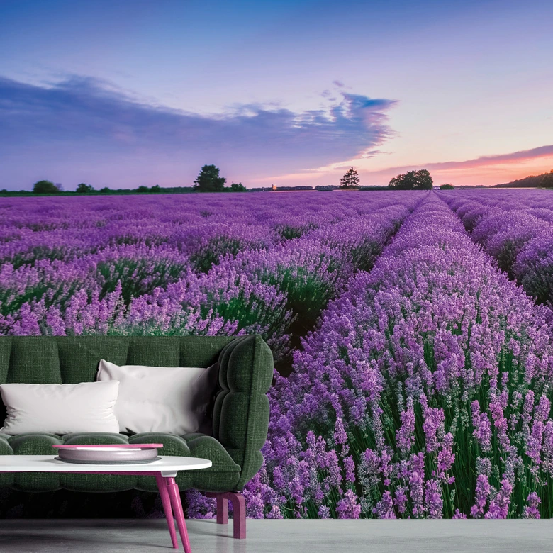 Lavendel-Fototapete Lila Blau – Vliestapete 3,75 m x 2,50 m Blütenfeld Provence 