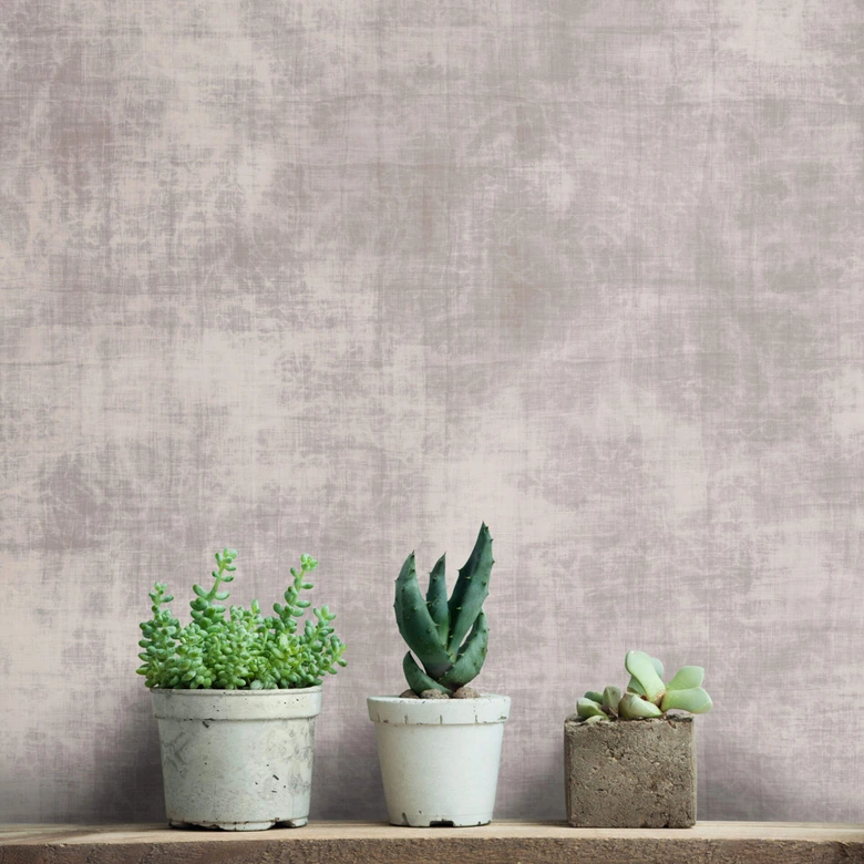 Livingwalls Fototapete Walls by Patel greige canvas 2 