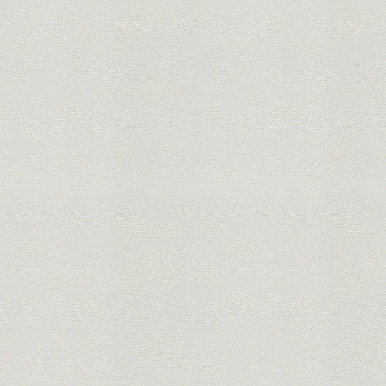 Papier peint intissé couvrant A.S. Création Meistervlies Pro Protect 2 blanc 