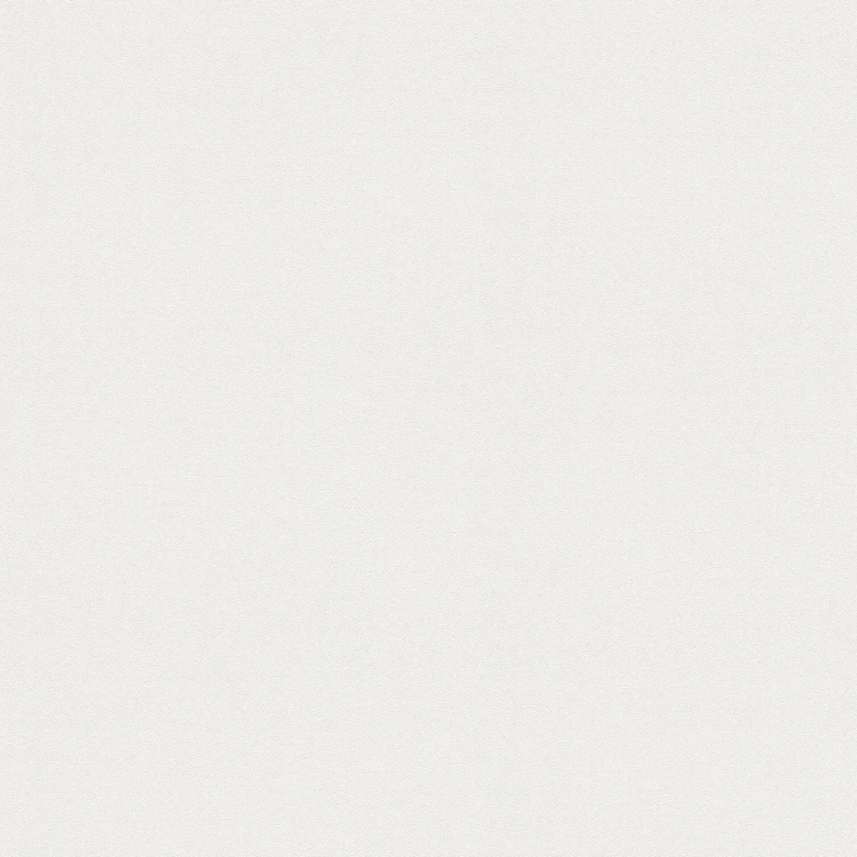 A.S. Création paintable wallpaper Meistervlies Pro Protect 2 White, paintable 