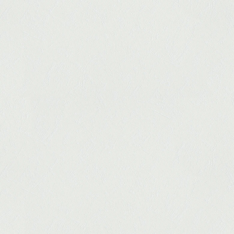 Papier peint intissé couvrant A.S. Création Meistervlies 4 Protect GO blanc, couvrant 