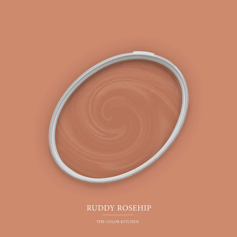 Orange Wandfarbe seidenmatt I Ruddy Rosehip | energiegeladen begeisternd | THE COLOR KITCHEN 