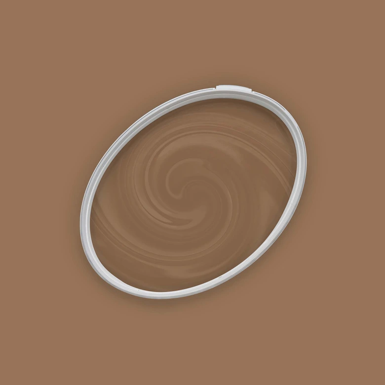Peinture murale marron soyeux mat - THE COLOR KITCHEN Awesome Anis 