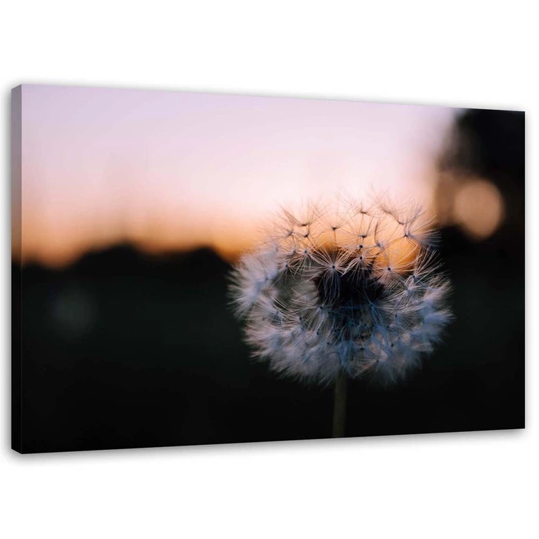 Leinwandbild, Pusteblume und Sonnenuntergang 