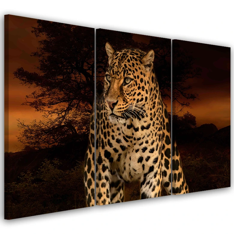 Leinwandbild 3-teilig, Leoparden-Katzen-Safari 