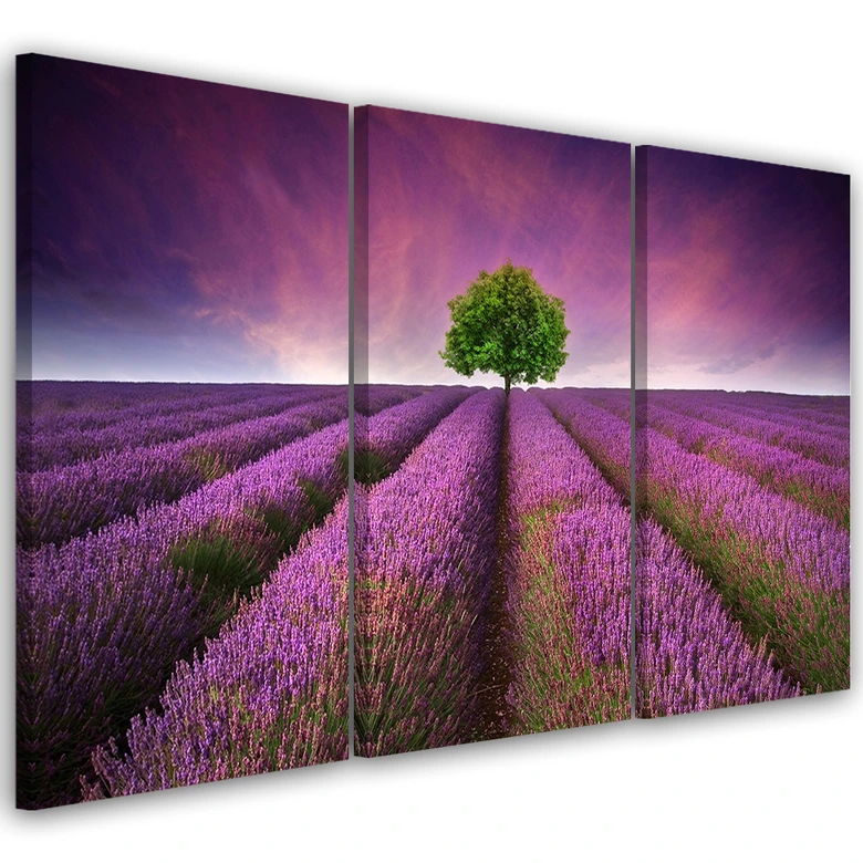 Leinwandbild 3-teilig, Lila Blumenwiese 