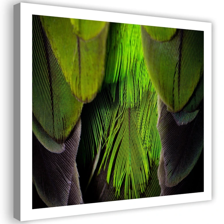 Canvas schilderij, Veren natuur 