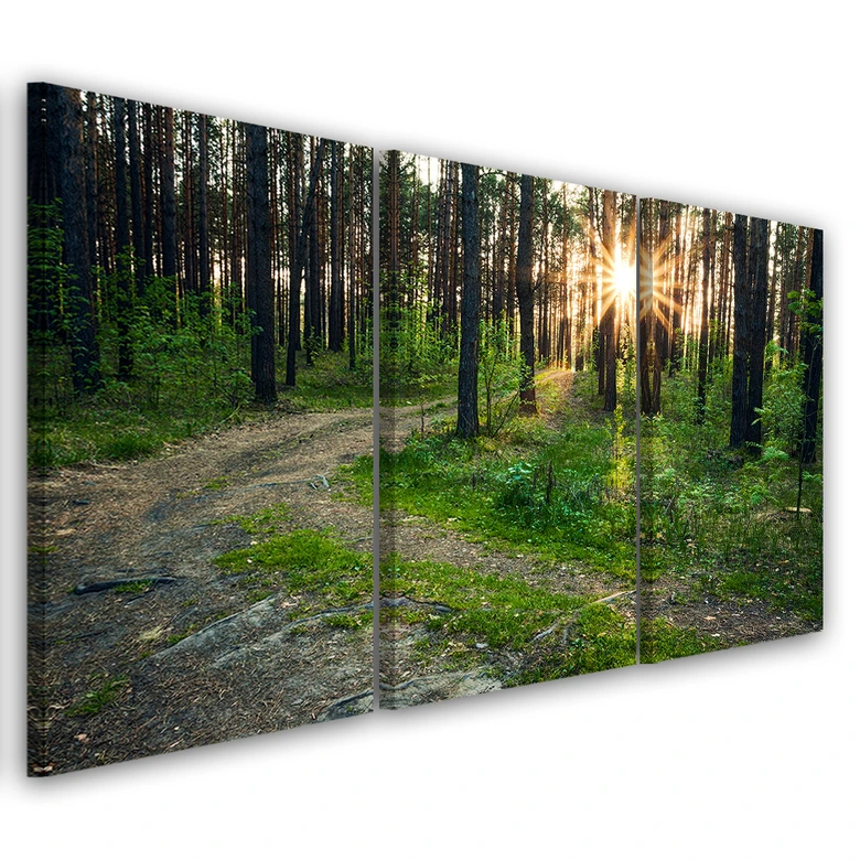 Leinwandbild 3-teilig, Wald Natur Straße Landschaft 