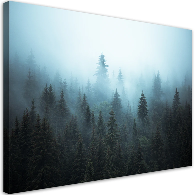 Leinwandbild, Wald im Nebel 