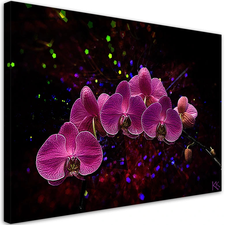 Leinwandbild, Orchidee Rosa Blumen Spa 