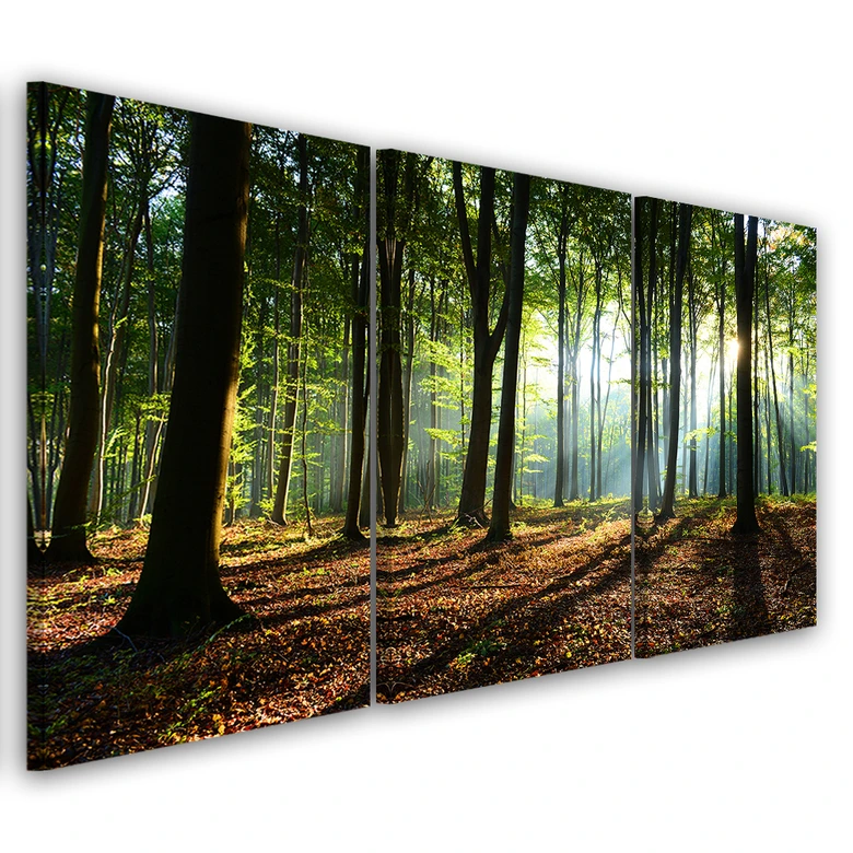 Leinwandbild 3-teilig, Waldgrün Natur 