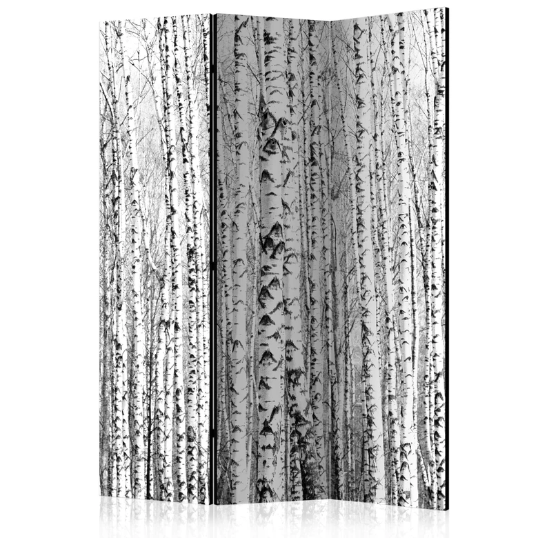Paravent Séparation de pièce - Forêt de bouleaux, 3 pièces - 135x172 cm 