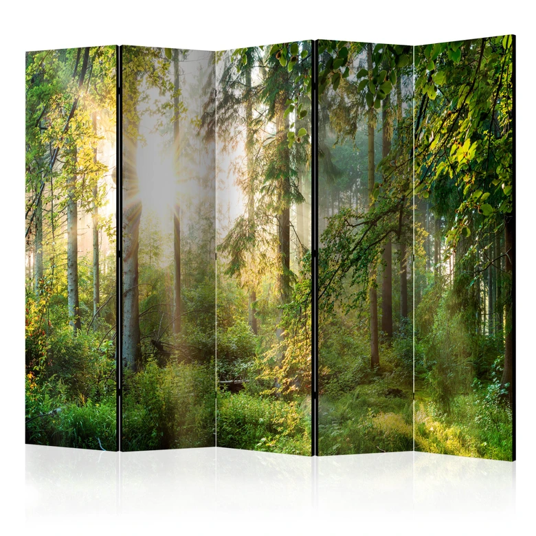 Paravent, Raumteiler freistehend, Trennwand - Hemmungsloses Abenteuer , 5-teilig - 225x172 cm 