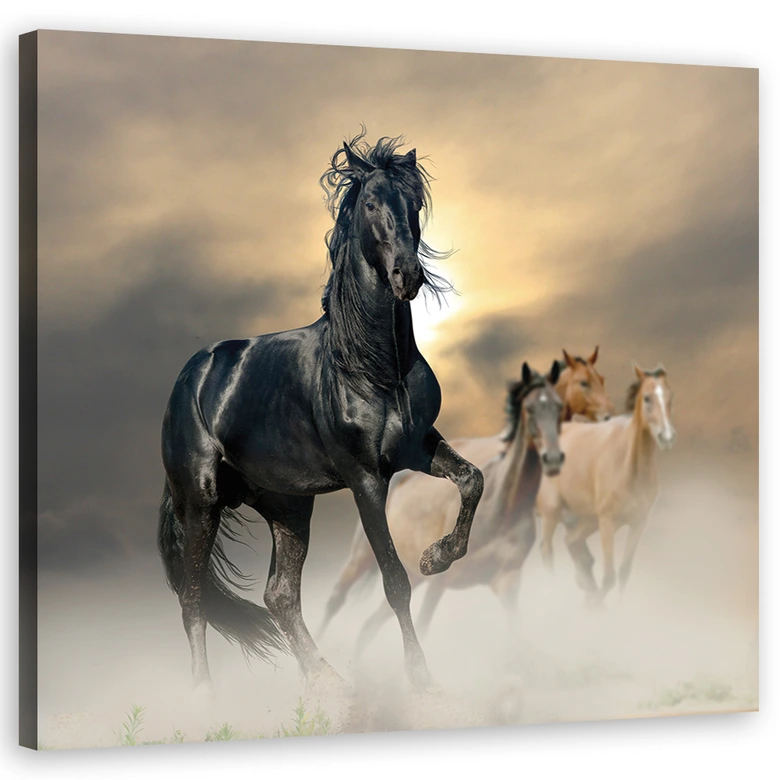 Canvasbillede, Flok af heste 
