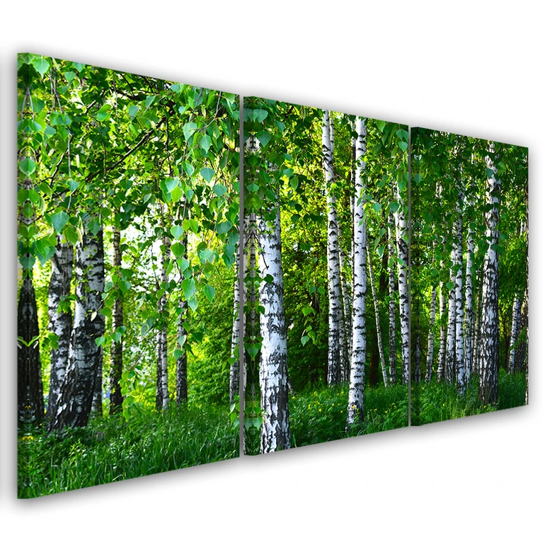 Leinwandbild 3-teilig, Birkenwald Grün 
